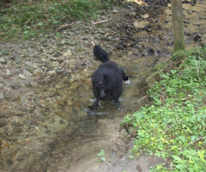 Emi bis zum Bauch im Wasser, so hat sie es gern